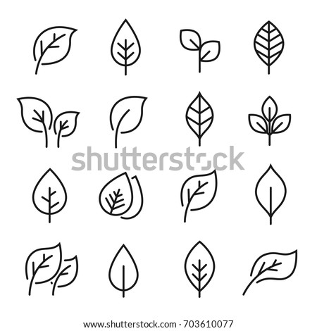 Leaf line icon set. Fertility and growth symbol, fresh natural beauty design element, youth and care. Leaf outline art illustration isolated on white background.