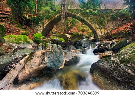 The old stone bridge (constructed in 1787) close to Tsangarada village, Pelion mountain, Magnesia prefecture, Thessaly, Greece. Date taken: 17.1.2010  Royalty-Free Stock Photo #703640899