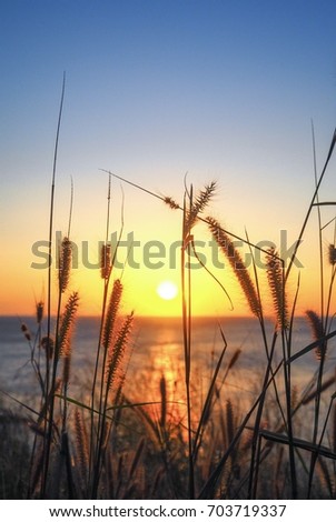 Beautiful sunset scenery in the sea with meadow on foreground.