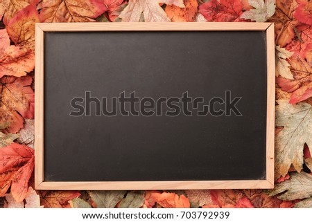 Autumn and harvest background concept; Idea with colorful autumn leaves composition with blank blackboard for text.