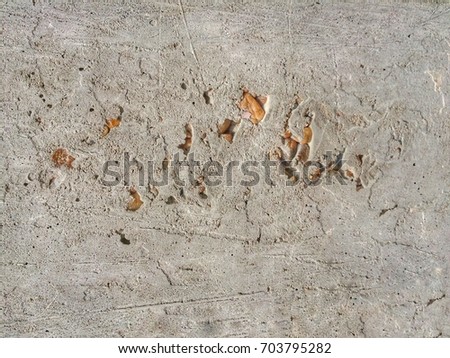 Grungy Cement Gray plastering on concrete cement Gravel background