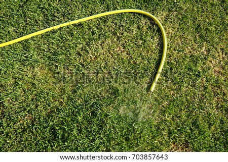 The watering hose on the lawn