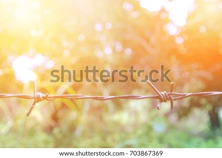 isolated sun lighting on barbed wire at sunset with tree and grass bokeh