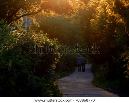 People walk in the evening at the golden sunset