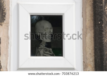 Skeleton framed by window in stone wall