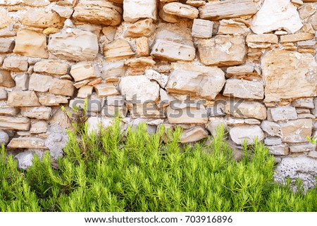 Stone walls of a medieval fortress. Background.