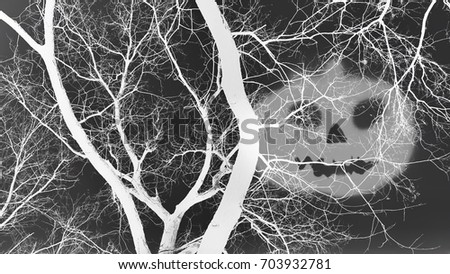 Concept of Halloween. Dead trees and shadow of an evil face in inverted color effect; black and white tone.