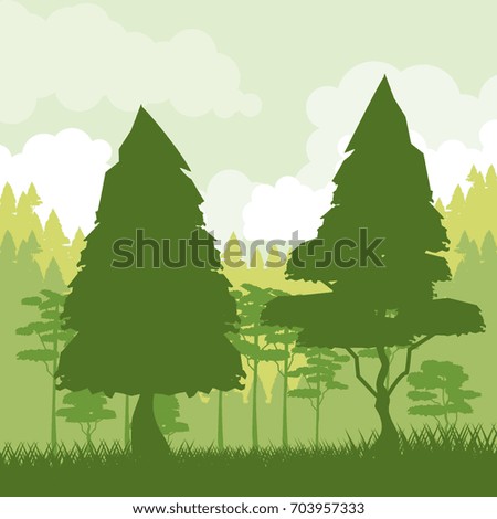 colorful background of green landscape of forest in sunrise