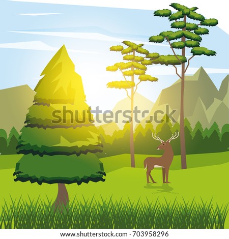 colorful background of sunny landscape with deer beside the road in forest