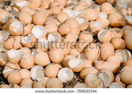 Eggs Shell background.