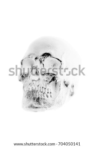 Scary Skull. Halloween Skull. Spooky Halloween Skull reverse negative image.  isolated on white with room for text.