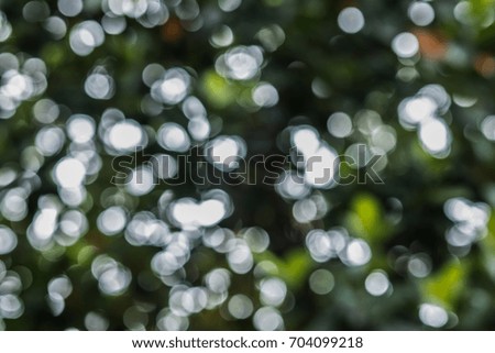 green bokeh background,green bokeh,Sunny abstract green nature background, selective focus background