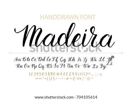 Handwritten Script font. Hand drawn brush style modern calligraphy cursive typeface. Hand Lettering and Custom Typography alphabet for Designs: Logo, Greeting Cards, Poster. Vector Brush type set. Royalty-Free Stock Photo #704105614