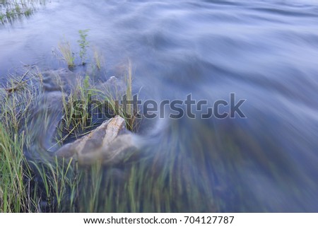 movement of water , after raining hard countryside ,south east asia , thailand,Feather-grass swaying by water