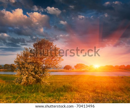 Colorful summer landscape near the river