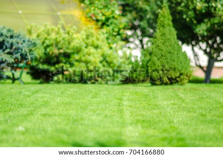ideal green lawn back yard and almond Royalty-Free Stock Photo #704166880