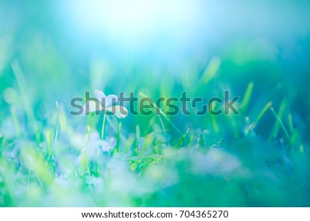 Close up nature background. Relaxing green blue meadow. Beautiful sunlight and inspirational mood.