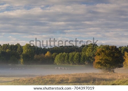 Autumn misty landscape with hunters pulpit in north Poland