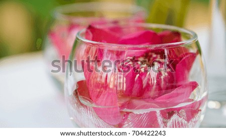 Pink lotus, water lily decorate in water glass. Modern style theme for wedding and valentines
