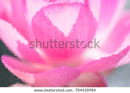 Processing filter photo of pink lotus