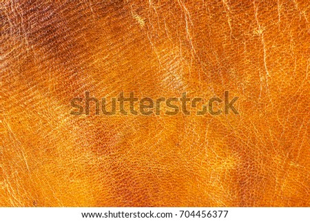 Old aged camel leather background. Texture, scratched, gradient yellow brown vivid colors. Creased.