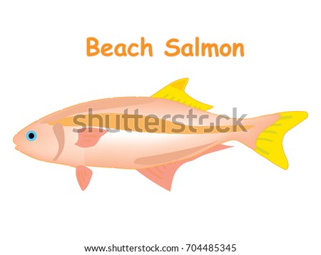 Fish vector cartoon illustration t shirt design for kids with saltwater animal beach salmon fish theme wallpaper isolated on white background