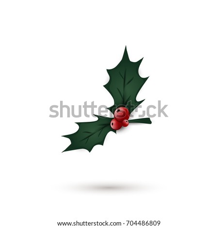 Christmas Holly berry  leaves  isolated. Christmas symbol.  illustration