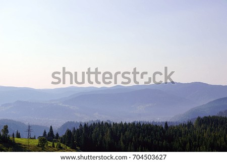    Dawn in the mountains.Forest mountain blue sky                            