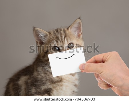 funny cat portrait with smile picture on cardboard