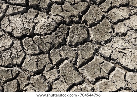 dry soil top view Drought Peresada the ground Texture,  surrealism 