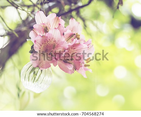 Bouquet of flowers in vase, nature romantic background.