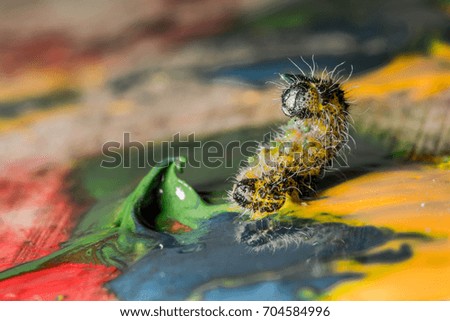 caterpillar and paint for drawing