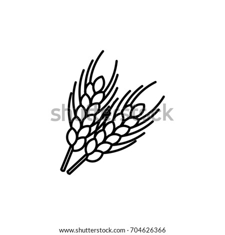 Wheat ear line icon, outline vector sign, linear style pictogram isolated on white. Symbol, logo illustration. Editable stroke.