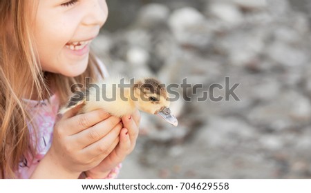 Little girl with spring duckling.  Poultry in the hands of the child.  Duckling close-up. Spring and summer banner. Spring  summer banner. 