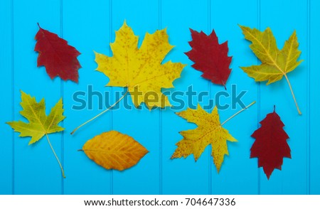  autumn leaves on wooden blue background
