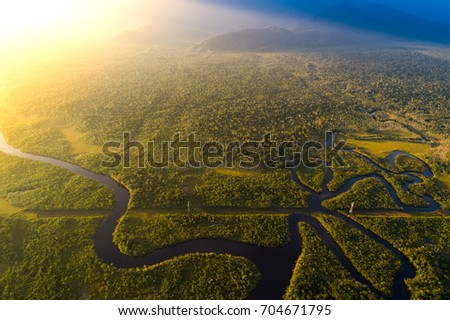 Amazon Rainforest in Brazil