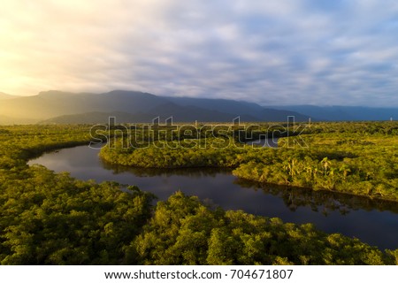 Amazon Rainforest in Brazil Royalty-Free Stock Photo #704671807