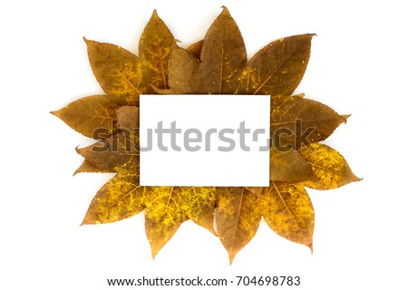Autumn leaves ornate with white copy space card isolated on white background