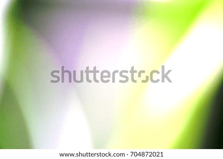 Abstract background from leaves in the garden. Green, Yellow, White color. Copy space. Modern style.