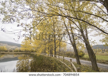 Autumn landscape with yellow leaves Gudar mountains Teruel Aragon Spain