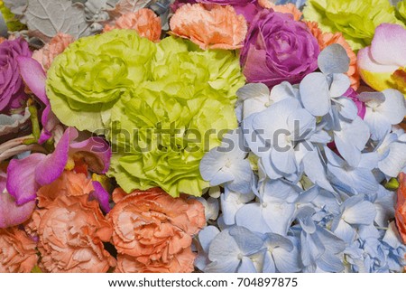 flower background
