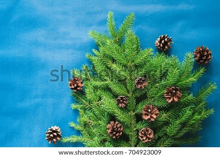 Pine tree twigs and cones over blue background, top view