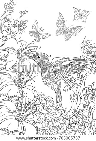 Coloring page of hummingbird, butterflies and hibiscus flowers. Freehand sketch drawing for adult antistress coloring book in zentangle style.
