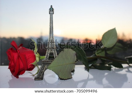 Wonderful romantic setting with fresh red rose and Eiffel tower in the evening with reflection effect. Selective focus planning