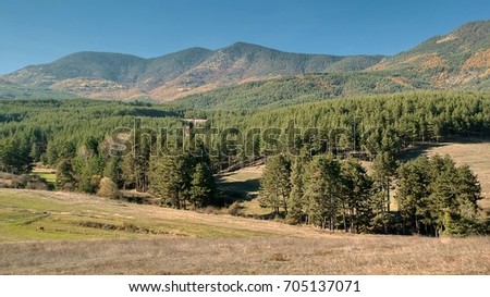 Panoramic natural scenery, mountain landscape with coniferous forest and peaks. Rhodopes mountains, Bulgaria.