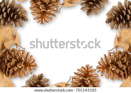 Frame of dry pine cones isolated on white background.