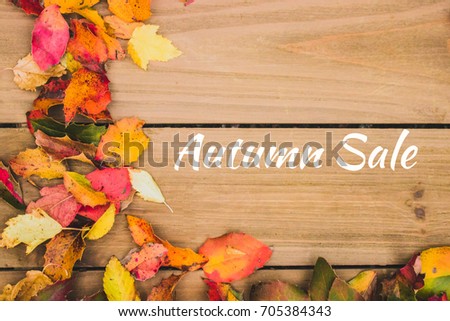 Autumn sale sign on wood with yellow leaves