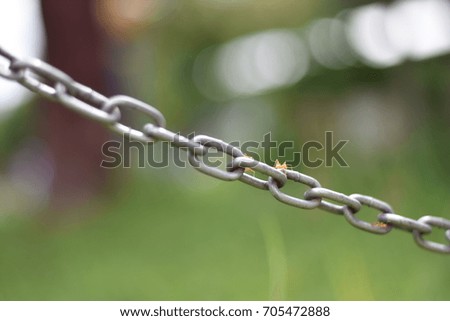 Chain and red ants