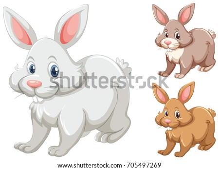 Rabbits with three different colors illustration