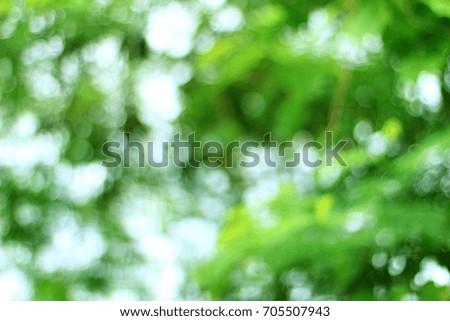 Beautiful nature, green background, round bokeh